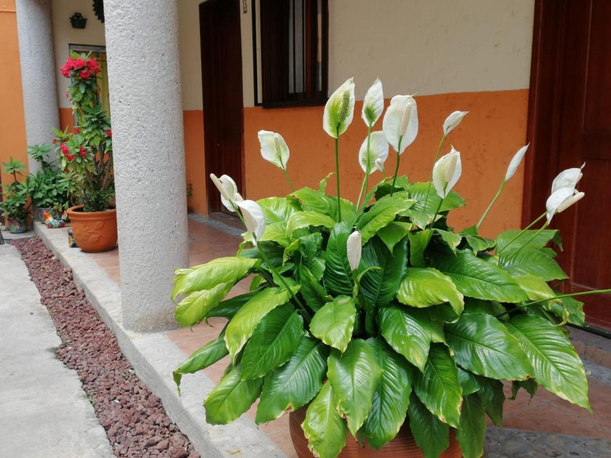 Hotel El Huapango ซิวดัด วัลเลส ภายนอก รูปภาพ